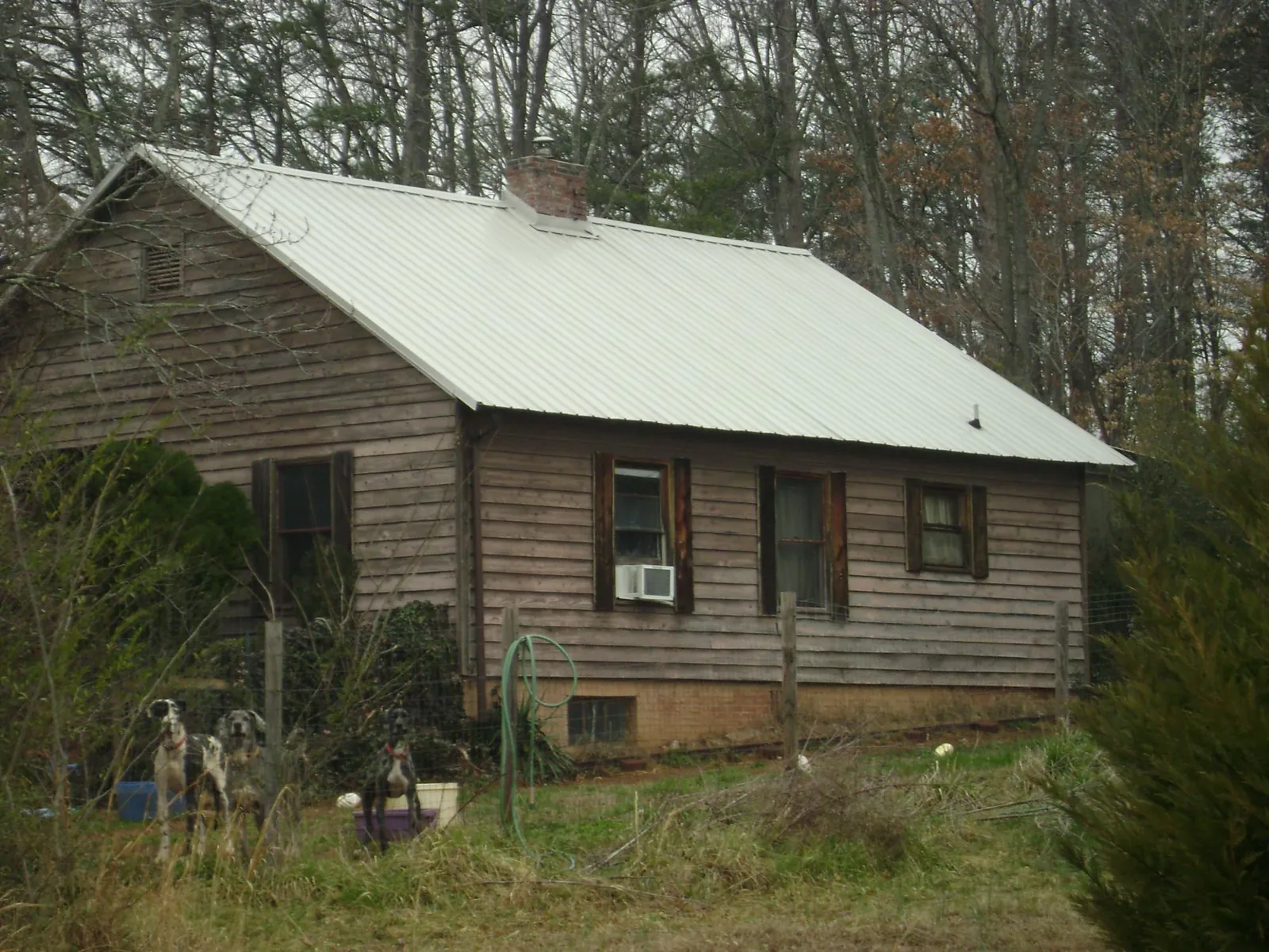 White metal roof on an old wood sided farmhouse, from a Metal Roof Installation job in Forestville